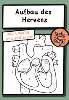 Vorschau - Arbeitsblätter - Der Aufbau des Herzens *inkl. Lösung/ editierbar* - Deckblatt