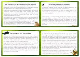 Vorschau - Arbeitsblätter - Merkheft - Die Merkmale der Amphibien - Seite 1