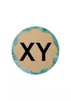 Vorschau - Spiele - Legekreis Buchstaben XY - Anfangsunterricht Deutsch - Seite 3