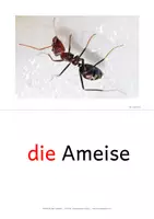 Vorschau - Fördermaterial/Inklusion - Wiese DaZ - Seite 2
