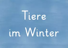 Vorschau - Präsentationen/Tafelbilder - Tiere im Winter - Tafelmaterial - Seite 1