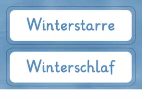 Vorschau - Präsentationen/Tafelbilder - Tiere im Winter - Tafelmaterial - Seite 2