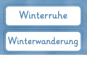 Vorschau - Präsentationen/Tafelbilder - Tiere im Winter - Tafelmaterial - Seite 3