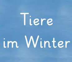 Vorschau - Präsentationen/Tafelbilder - Tiere im Winter - Tafelmaterial - Deckblatt