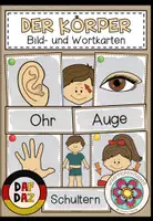 Vorschau - Bildkarten - Bildkarten Körper – Bild- und Wortkarten für Deutsch, DaZ und DaF | Wortschatz - Deckblatt