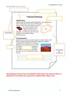 Vorschau - Unterrichtsreihen - Layoutgestaltung 9. Klasse mit dem MS Publisher - Seite 2