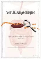 Vorschau - Stundenentwürfe - Forscherheft - Verdauungsenzyme - Seite 1