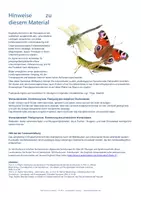 Vorschau - Bildkarten - insects - summer: english flashcards - Bildkarten Englisch für die Wortschatzarbeit - Seite 1