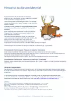 Vorschau - Bildkarten - animals in the forest - flashcards - Bildkarten - Freiarbeitsmaterial - Seite 1