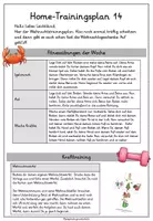 Vorschau - Spiele - Home- Trainingsplan 14 - Seite 1