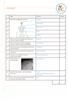 Vorschau - Test - Knochen und Skelett - Lernkontrolle (mit ausfüllbarem Pdf) - Seite 1