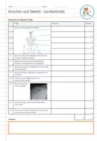 Vorschau - Test - Knochen und Skelett - Lernkontrolle (mit ausfüllbarem Pdf) - Seite 2