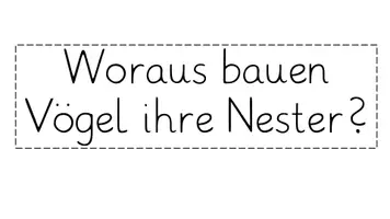 Vorschau - Bildkarten - Vögel: Bildkarten zum Nistmaterial - Seite 1