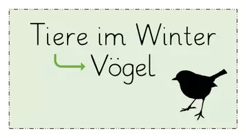 Vorschau - Unterrichtsreihen - Reihentransparenz Vögel - Seite 2