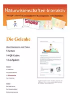 Vorschau - Arbeitsblätter - Gelenke und Muskeln (6+2 ABs + Lösungen) - Deckblatt