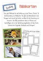Vorschau - Stundenentwürfe - Materialpaket Fuchs (Sachtexte, Arbeitsblätter, Spiel, Bildkarten..) - Seite 1