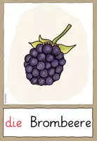 Vorschau - Fördermaterial/Inklusion - Obst & Früchte - Wortkarten - DaZ - DaF (Tafelmaterial) - Seite 2