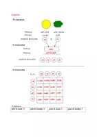 Vorschau - Unterrichtsreihen - Genetik (Bio Oberstufe) *WACHSENDES PAKET* - Deckblatt