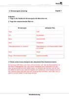 Vorschau - Arbeitsblätter - Konditionierung - Arbeitsblätter mit Lösungen - Seite 3