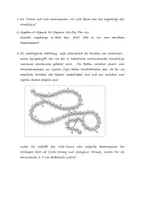Vorschau - Arbeitsblätter - Aufgabe zu Proteinbiosynthese - Seite 2