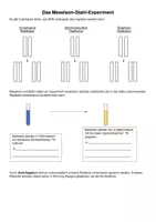 Vorschau - Arbeitsblätter - Das Meselson-Stahl-Experiment AB (DNA-Replikation) - Seite 3