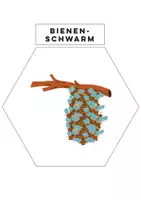Vorschau - Präsentationen/Tafelbilder - Tafelmaterial - Alles über Bienen - auch für Homeschooling - Seite 3