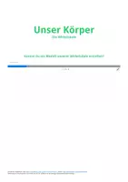 Vorschau - Arbeitsblätter - Materialpaket Unser Körper H5Pinteraktiv - Deckblatt