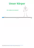 Vorschau - Arbeitsblätter - Unser Körper - Wie heißen die Gelenke - Deckblatt