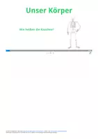 Vorschau - Arbeitsblätter - Unser Körper - Wie heißen die Knochen - Deckblatt