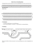 Vorschau - Arbeitsblätter - Kleiner Test zur Proteinbiosynthese (Translation, Genetik) - Seite 3