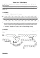 Vorschau - Arbeitsblätter - Kleiner Test zur Proteinbiosynthese (Translation, Genetik) - Deckblatt