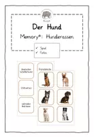 Vorschau - Spiele - Der Hund: Paare finden mit Fotos - Hunderassen - Deckblatt
