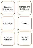 Vorschau - Spiele - Der Hund: Paare finden mit Fotos - Hunderassen - Seite 3