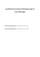 Vorschau - Stundenentwürfe - Bio, Lungenmodell-Bau auf 2 Niveaustufen! Komplette Unterrichtsstunde inkl. Planung! - Seite 1