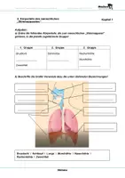 Vorschau - Arbeitsblätter - Stimme - Arbeitsblätter mit Lösungen - Seite 2