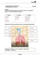 Vorschau - Arbeitsblätter - Stimme - Arbeitsblätter mit Lösungen - Seite 3