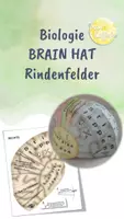 Vorschau - Arbeitsblätter - Brain Hat - Gehirnbaukasten - Rindenfelder des Gehirns - Deckblatt