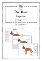 Vorschau - Arbeitsblätter - Der Hund: Körperbau (ABBs, Tafelmaterial, Poster mit Fotos) - Deckblatt