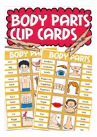 Vorschau - Stationenlernen - body parts Klammerkarten Englisch Grundschule - Deckblatt