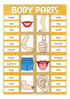 Vorschau - Stationenlernen - body parts Klammerkarten Englisch Grundschule - Seite 2