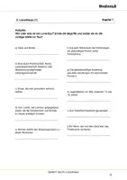 Vorschau - Arbeitsblätter - Gefahr durch Loverboys - Arbeitsblätter mit Lösungen - Seite 3