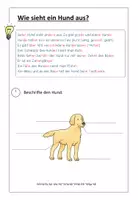 Vorschau - Arbeitsblätter - Der Hund - Deckblatt