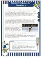 Vorschau - Stundenentwürfe - Säugetiere im Winter #LMPKracher2020 - Seite 3