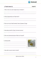 Vorschau - Arbeitsblätter - Geht es auch ohne? - Arbeitsblätter mit Lösungen - Seite 3
