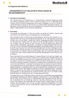 Vorschau - Arbeitsblätter - Urheberrecht - Grundlagen - Ergänzungen mit Lösungen - Seite 3