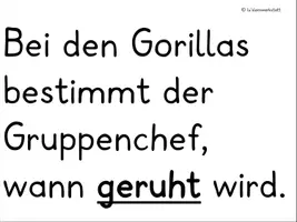 Vorschau - Präsentationen/Tafelbilder - Tafelmaterial: Umgang mit Textschwierigkeiten - Seite 3