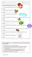 Vorschau - Arbeitsblätter - Tempusformen des Verbs (Übungen) - Seite 1
