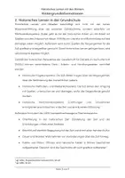 Vorschau - Stundenentwürfe - Römer Hintergrundmaterial - Seite 3