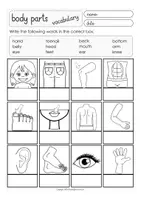 Vorschau - Arbeitsblätter - body parts Arbeitsblätter Englisch - Seite 1