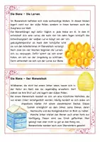 Vorschau - Arbeitsblätter - Biene Lesekartei und Arbeitsblätter - Seite 3